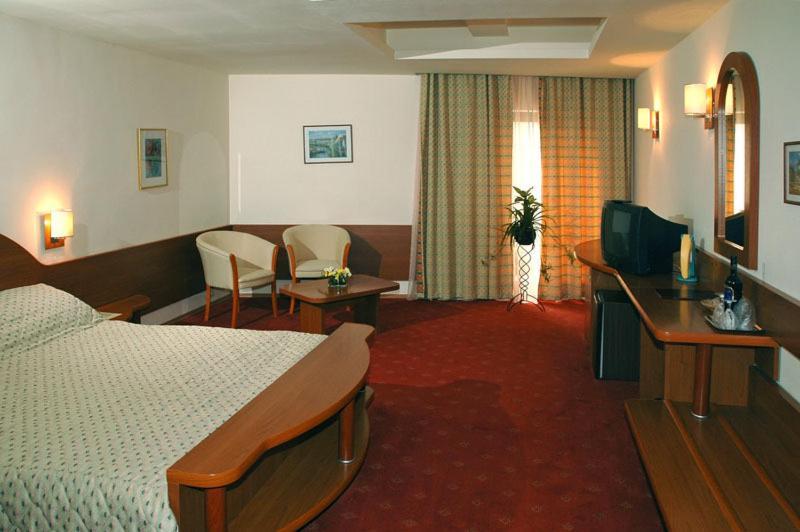 Hotel Irisa ブカレスト 部屋 写真